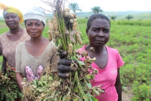 RDC : 1ère année très prometteuse pour le Programme de Sécurité Alimentaire« PQ SECAL2 » de Caritas 