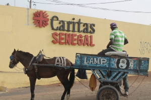 Caritas Sénégal: Le programme pays